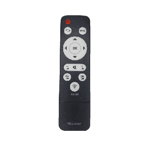 Controle Remoto TV Universal 4K